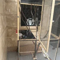 قفس|لوازم جانبی حیوانات|کرمانشاه, |دیوار