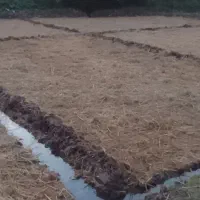 موتور آب برقی بیجار ۲ اینج با سیم پیچ مس