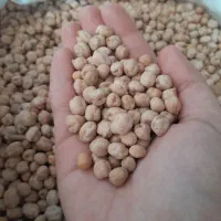 نخود ابگوشتی