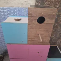لانه استاندارد انواع طوطی سانان