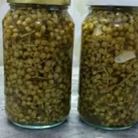 ترشی بنچه