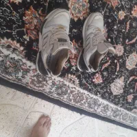 کتونی زدیکس 8000