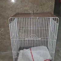 قفس پرنده