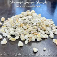 شرکت پارسیان سیلیس