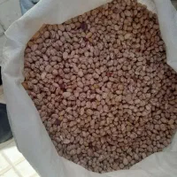 لوبیا چیتی