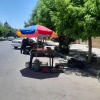 فروشنده میوه