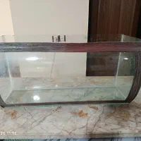 آکواریوم شیشه منحنی