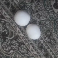 سنگ