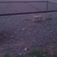 تخت