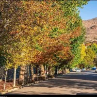 زمین حصار کشی شده در هیر110متر