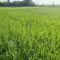 برای-اطلاعات-بیشتر-تماس-بگیرید