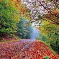 تور تعطیلات گلستان