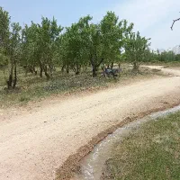 فروش باغ بادامی