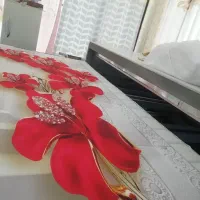 دستگاه پرس حرارتی ۱۵۰*۳۰۰