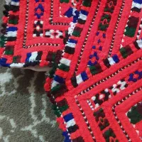 کریشی فقط جیب