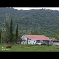 فروش-فوری-کارخانه-برنجکوبی
