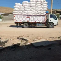 کاه درجه یک به شرط
