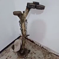 بار درختی سالم
