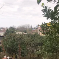 زیبا شناسی و عواطف ان