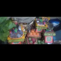 انواع سبزه مجسمه . سنبل. گاری 7سین و بصورت عمده