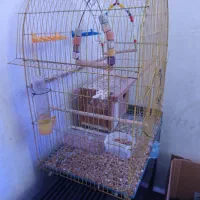 قفس پرنده