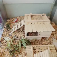 قفس   و لانه  همستر خوکجه خرگوش