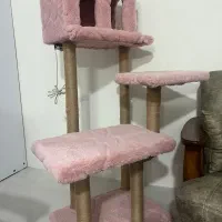 اسکرچر گربه