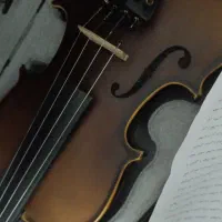 ویالون ساز