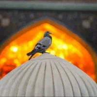 کاروان تور زیارتی مشهد و قم