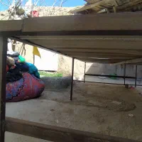 تخت|تخت و سرویس خواب|نیشابور, شریعتی|دیوار