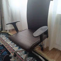 صندلی گردون نو