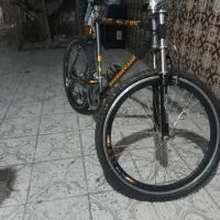 دوچرخه بزرگ سال در حد نو