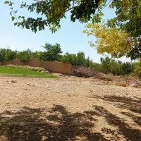 باغ-وزمین-کشاورزی