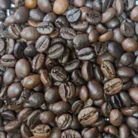 این یک تبلیغ فِیک نیست.    بزرگترین روستری رشت.