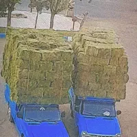 یونجه خشک انباری ویونجه چین اول به بعد رسید