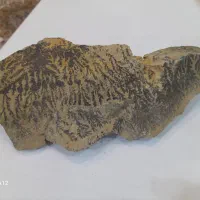 سنگ شجر و ...