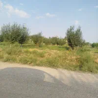 فروش-باغ