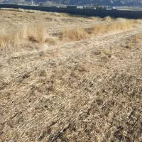 فروش یک قطعه زمین باغ شهری