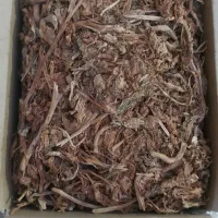 برگ زرد (پاپر)