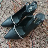 کفش مجلسی
