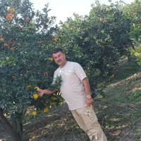 نهال اصلاح شده