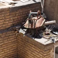 فرغون