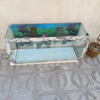 آکواریوم