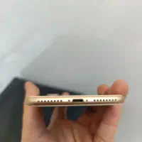 iPhone 8 plus|موبایل|مشهد, استاد یوسفی (شهرک غرب)|دیوار