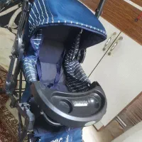 کالسکه دلیجان