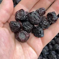فروش گیلاس خشک به قیمت عمده