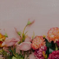انجام تمامی خدمات ادیتوری