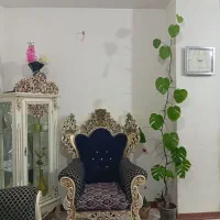 گل برگ انجیری بلند و زیبا و برای دکور خانه