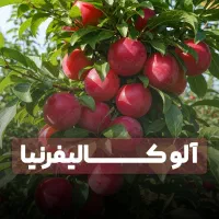 نهال الو.انجیر.بادام