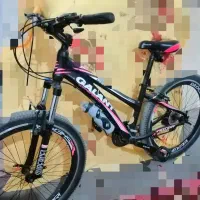 دوچرخه